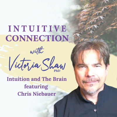EP: 179 Intuition and The Brain Chris Niebauer
